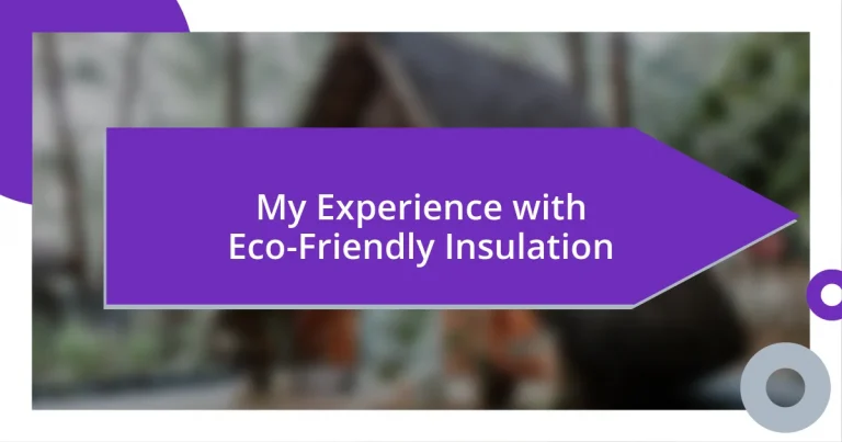 My Experience with Eco-Friendly Insulation